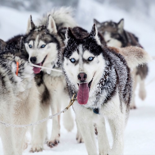 Зображення Черкаси